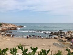 -广东惠东海龟国家级自然保护区