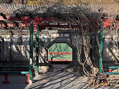 -龙湖星悦荟(颐和店)