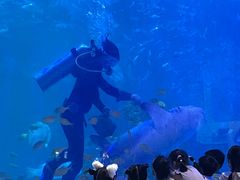 -常州海昌海洋探索馆