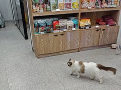 -四月宠物医院·猫专科·心脏专科·内科(转塘店)