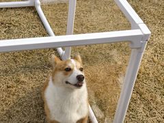 -梁鸿国家湿地公园