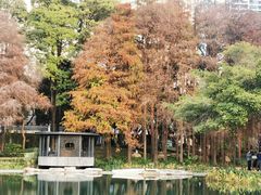-四海公园(南山区)