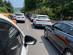 -胶州湾海底隧道