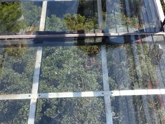 -九龙江国家森林公园