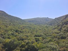 -香炉山国家森林公园