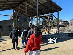 -疏芬山金矿