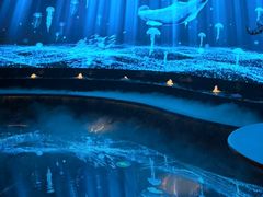 -唐宫足道·SPA·住宿24H会所(木渎店)