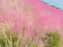 -汉长安城未央宫国家考古遗址公园