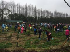 -上海长兴岛郊野公园