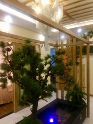 -芳朵美容养生SPA