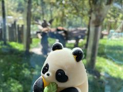 -卧龙中华大熊猫苑神树坪基地