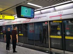 -大龙山(地铁站)