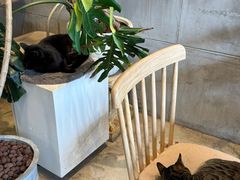 -青莯_Percher Coffee Shop(皮市街店)