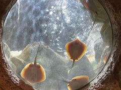 -珠海长隆海洋王国