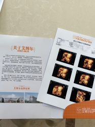 -艾博尔医院