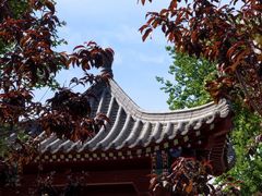 -张家湾公园