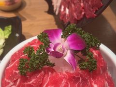 -掂档潮汕牛肉火锅(万象城店)