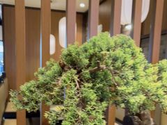 -湊湊火锅·茶憩(和平大悦城店)