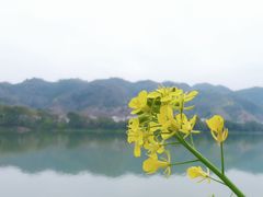 -新安江山水画廊风景区