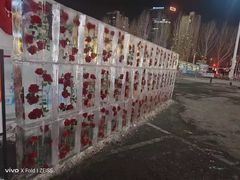 -盛京大奥莱(沈阳奥体店)