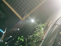 -超级神炭烤肉夜食(芥园西道店)