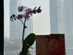 -珈境湖畔餐厅·湖北菜·江浙菜•樱花季(西北湖店)