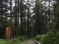 -峨眉山风景名胜区