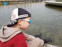 -春花秋色城市公园