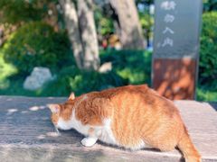 -龙华寺