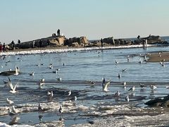 -老虎石海上公园