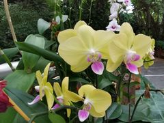 -华南国家植物园-售票处