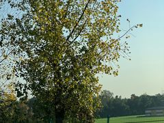 -蔡记锅魁(军屯路店)