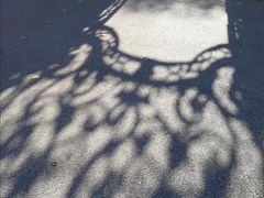 -美景宫