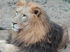 -北京野生动物园