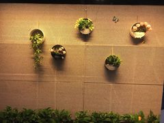 -云间宿茶空间(嘉杰国际广场店)