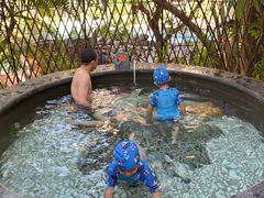 -丰泰花园酒店热矿泉