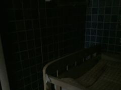 -芜湖新华联大白鲸海洋公园