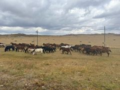 -苏尼特食府(金穗家园店)