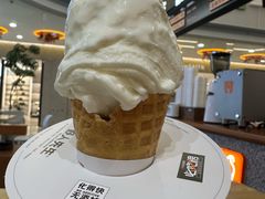 -野人先生Gelato(上海长宁龙之梦店)
