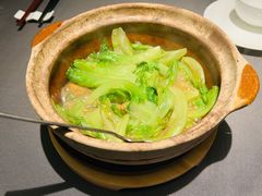 澳门虾酱啫农场生菜-小炳胜(卓悦中心店)