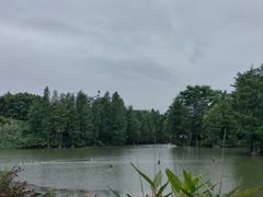 -海珠湖公园