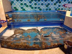 水产区-乔哥铭洋海鲜自助(皇城恒隆广场店)