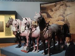 -古车博物馆