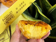 -澳门威尼斯人综合度假区