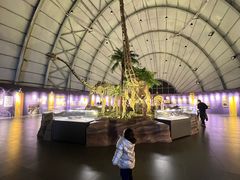 -辽宁古生物博物馆