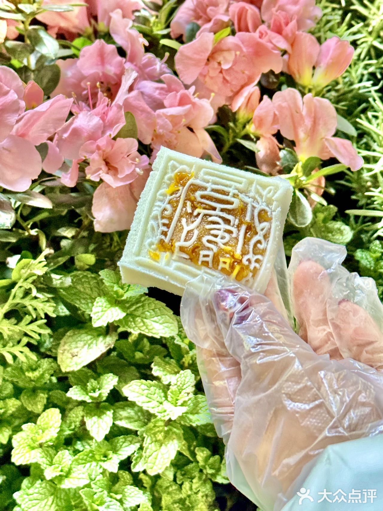 糯叽叽的开运方糕穿上龙年新包装咯🤗