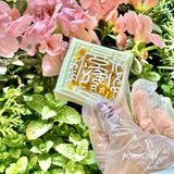 糯叽叽的开运方糕穿上龙年新包装咯🤗