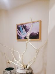 -盘子女人坊古装写真摄影(天津总店)