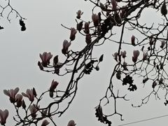 -碑林公园
