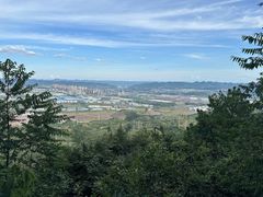 -铁山坪森林公园